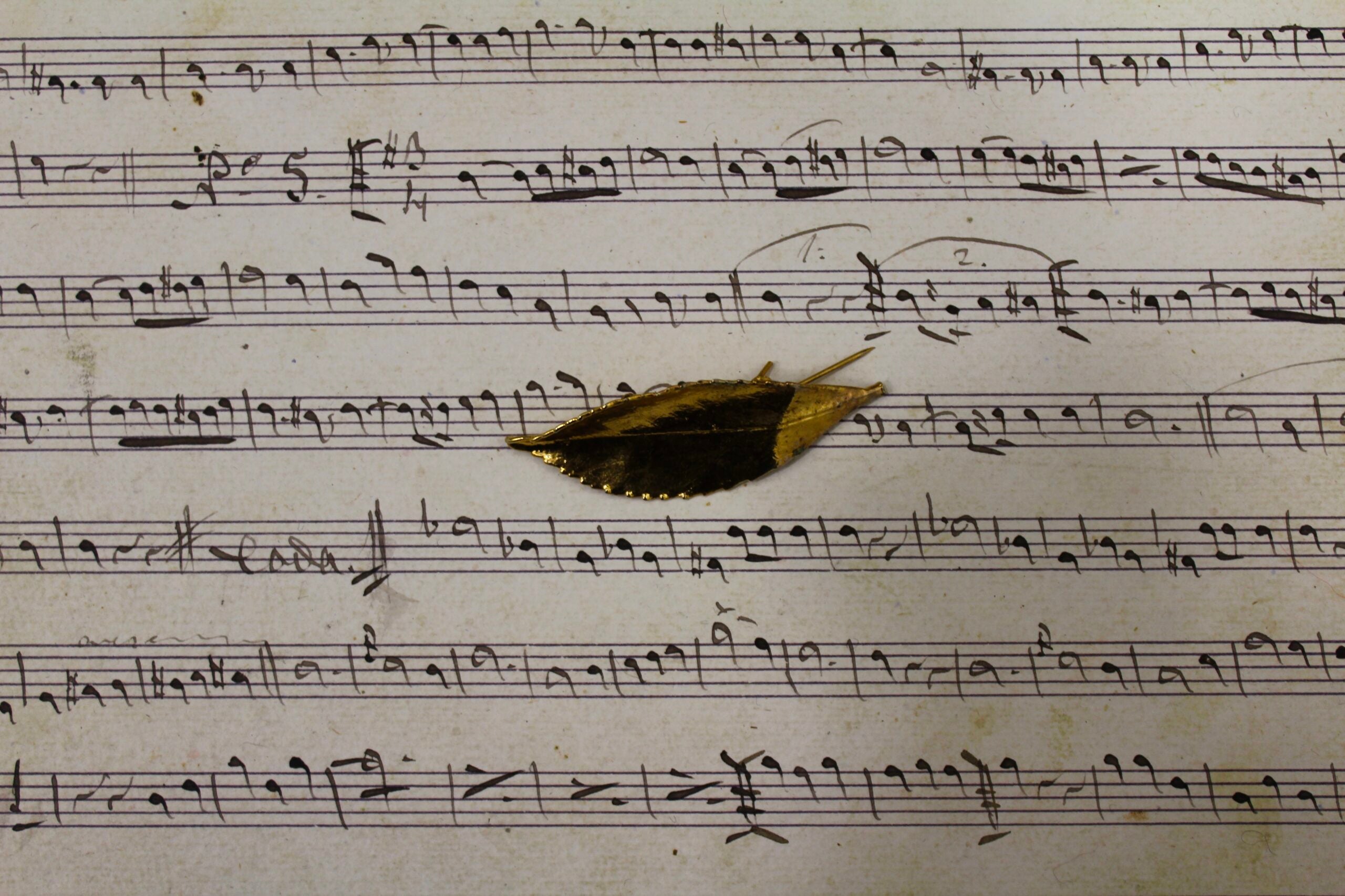 Broche vintage francés hoja de olmo dorado